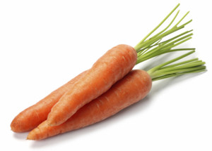 carrot